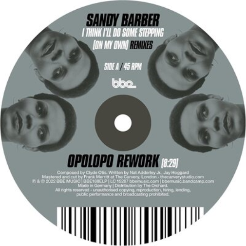 Sandy Barber I Think I'll Do Some Stepping (On My Own): Remixes (Vinyl LP)