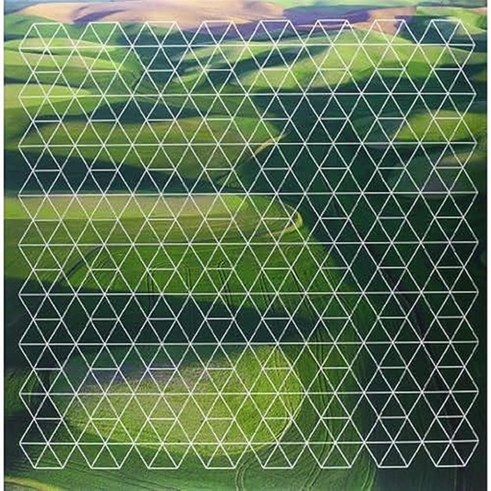 Fields - Henry Plotnick (Vinile)