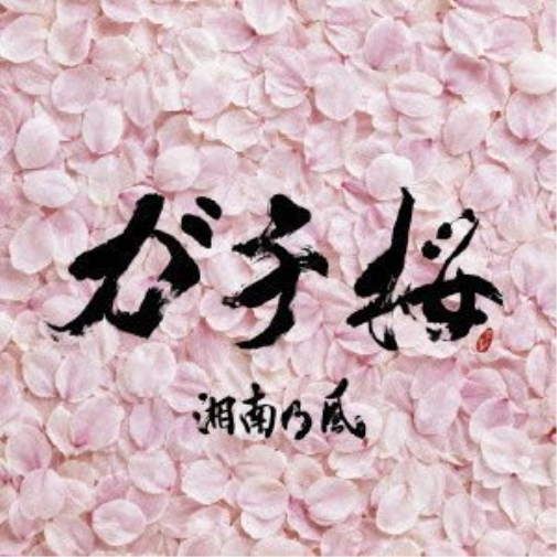 Shonannokaze Gachi Zakura (CD)