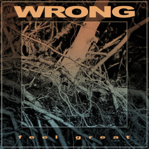 Wrong Feel Great (CD) Album