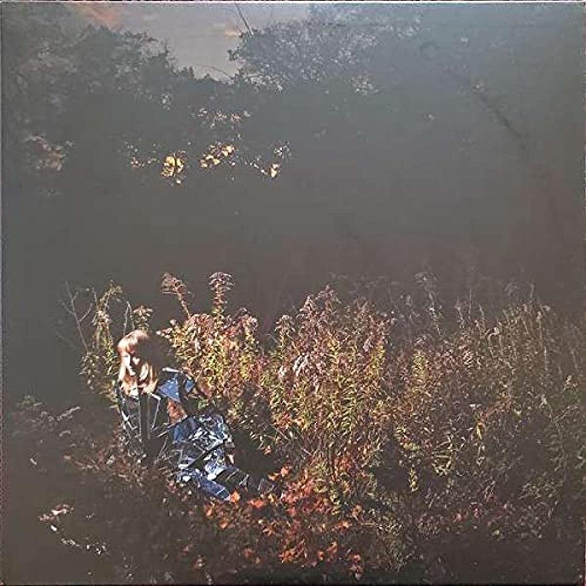 Weather Station Ignorance Blue) (Vinyl LP)