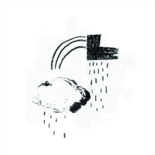 Damien Jurado In the Shape of a Storm (Vinyl LP) 12" Album