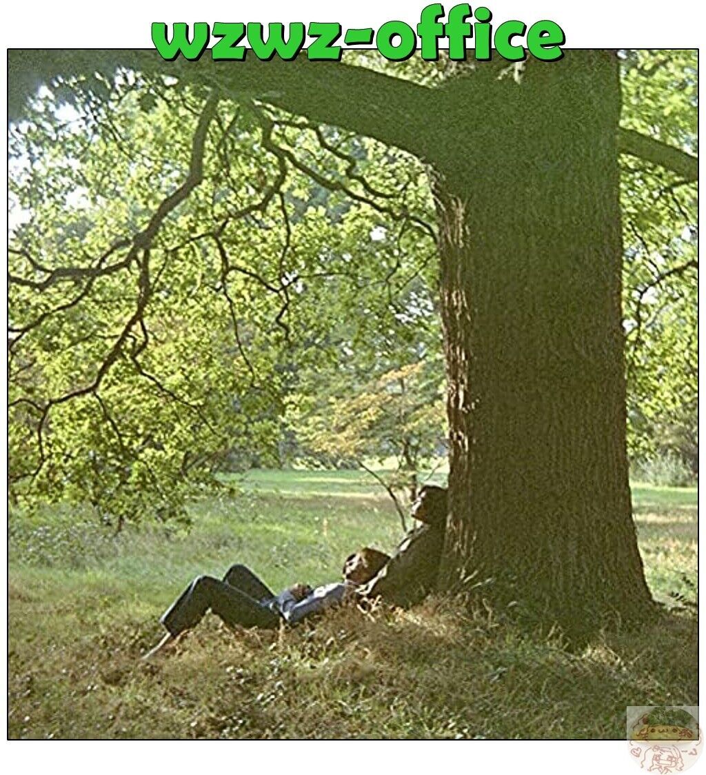 2021 JOHN LENNON PLASTIC ONO BAND THE ULTIMATE MIXES JAPAN 2 SHM CD