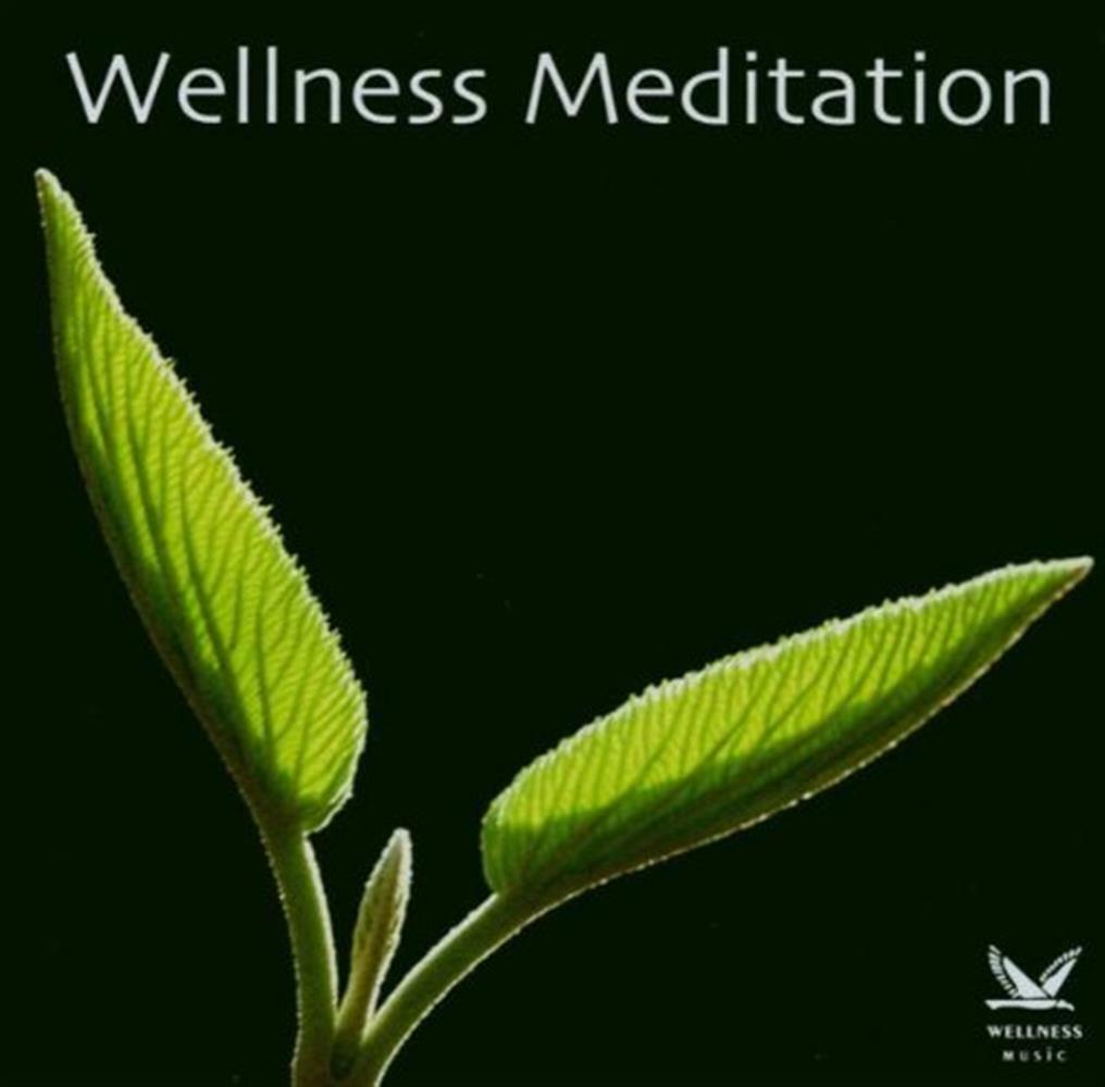 Wellness Meditation / Various - AA.VV. (Audio Cd)