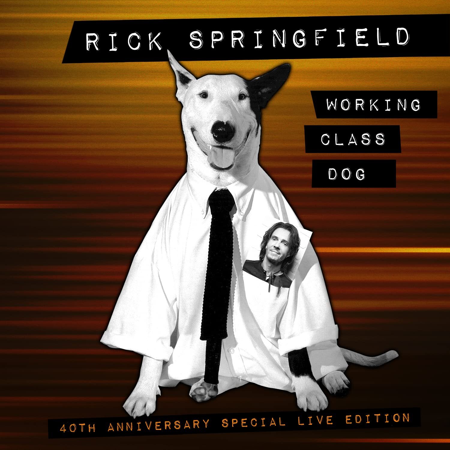 Rick Springfield Working Class Dog: 40th Anniversary Special Live Edition (CD)