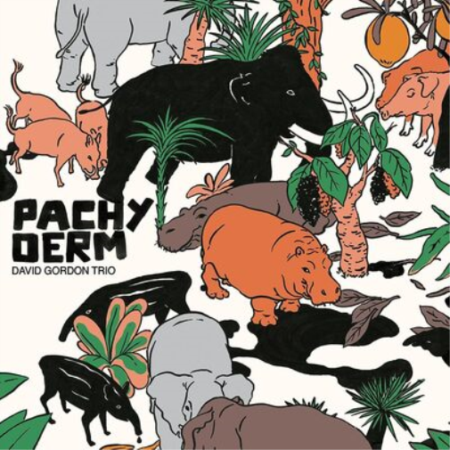David Gordon Trio Pachyderm (Vinyl LP) 12" Album