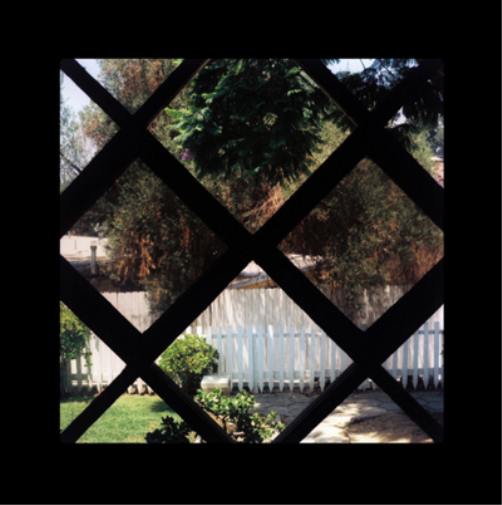 Psychic Temple III (Vinyl LP) 12" Album