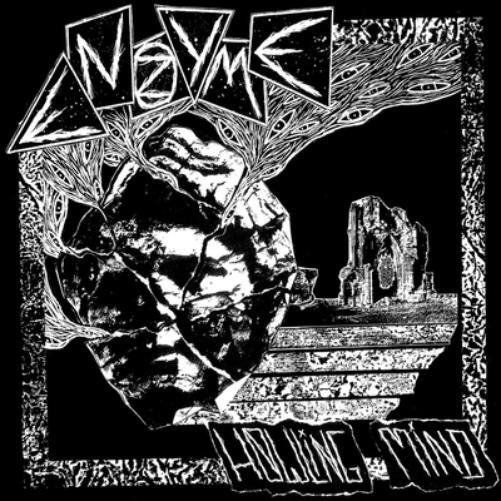 Enzyme Howling Mind (Vinyl LP) 12" Album