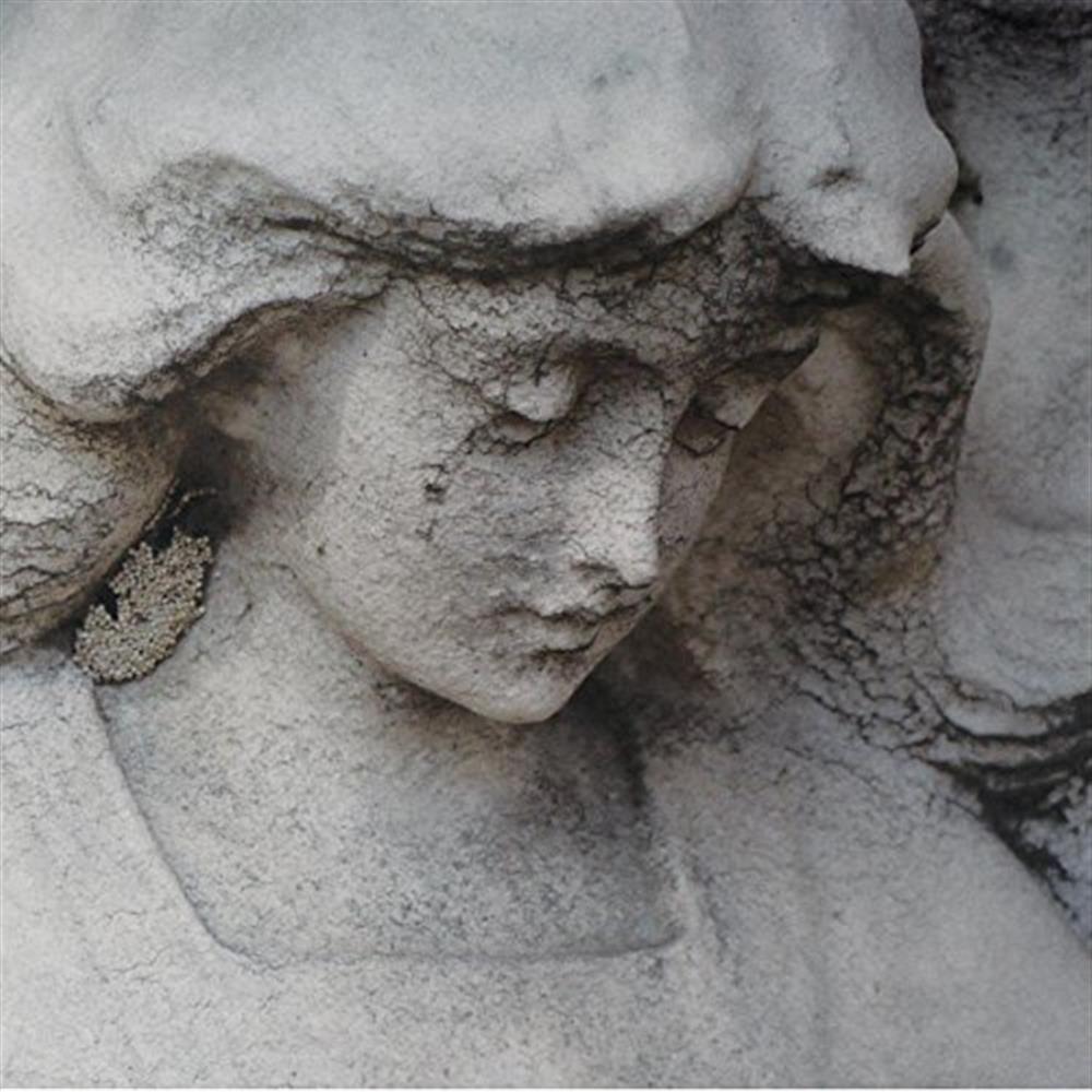 Shepherds & Angels - Iroha (Vinile)