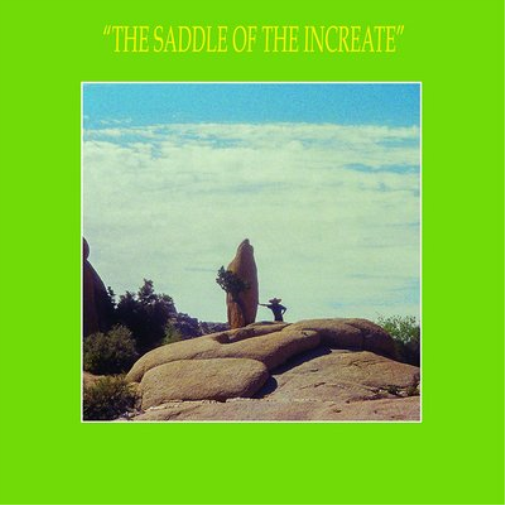 Sun Araw The Saddle of the Increate (CD) Album