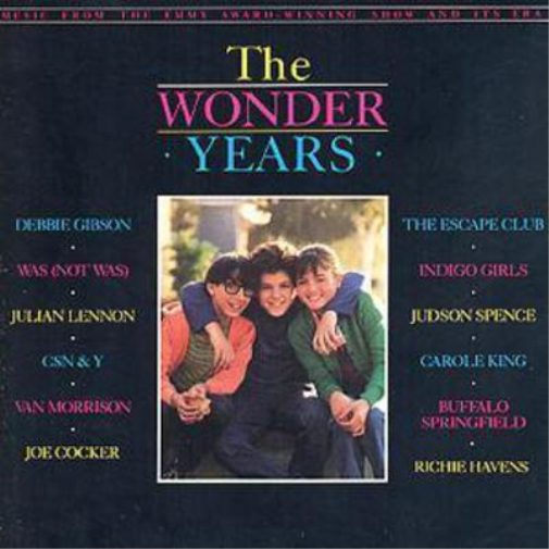 Various The Wonder Years (CD) Album