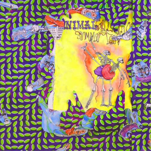 Animal Collective Ballet Slippers (Vinyl LP) 12" Album Box Set