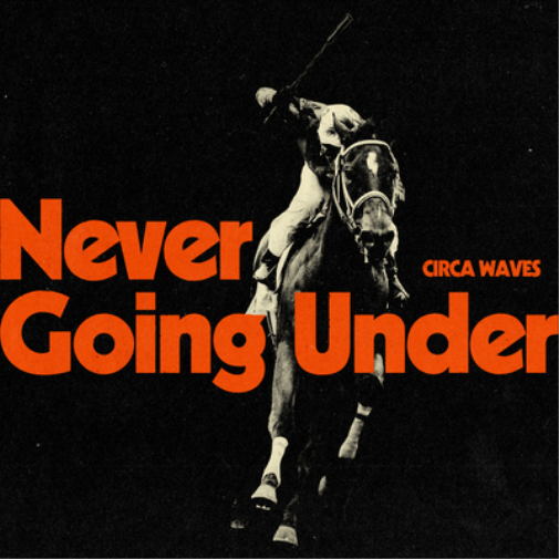 Circa Waves Never Going Under (Vinyl LP)