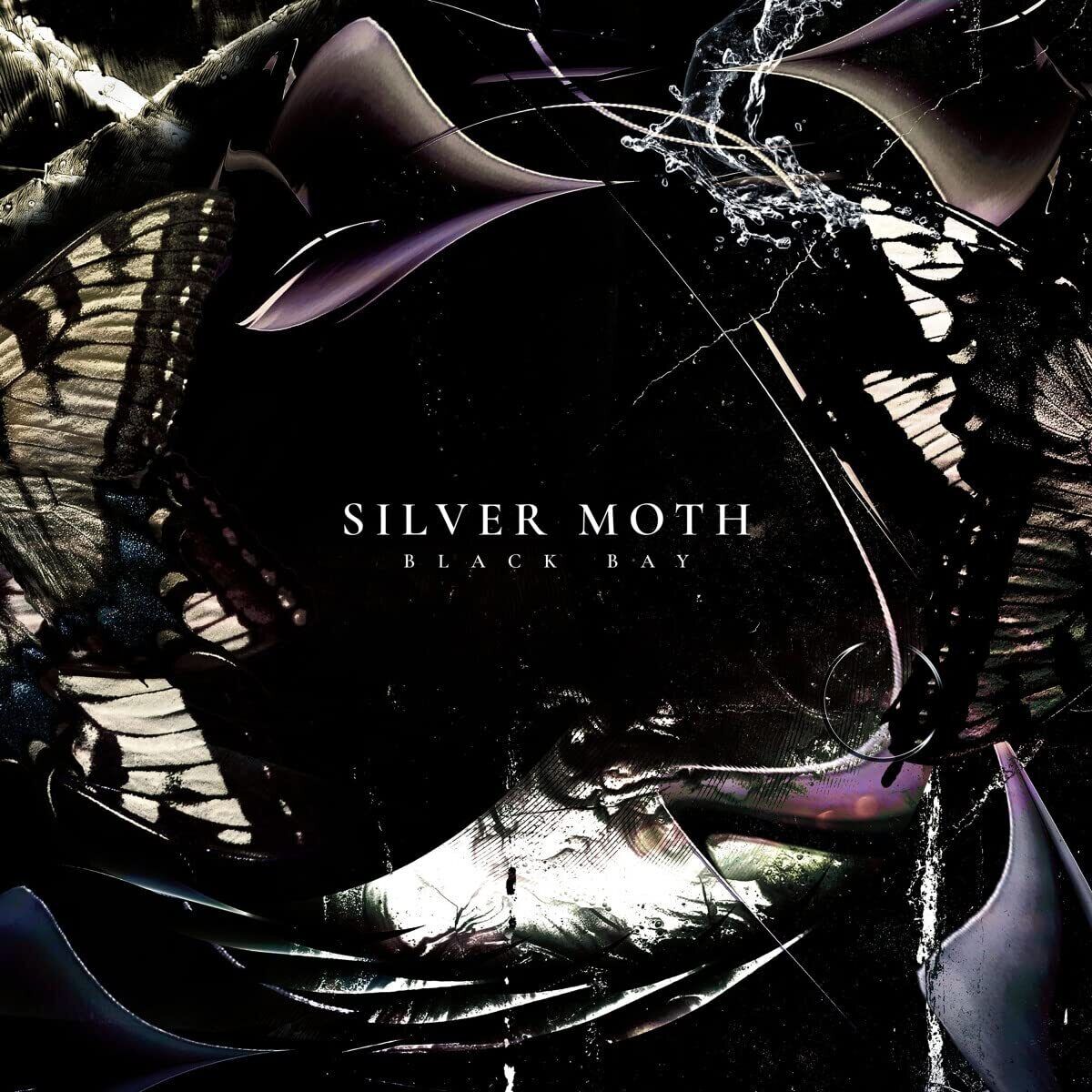 Silver Moth Black Bay CD NEW