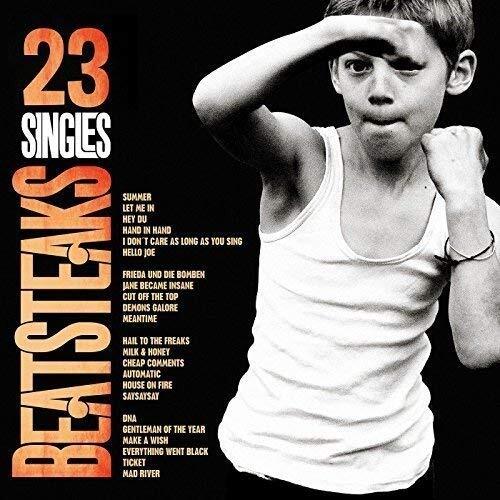 Beatsteaks 23 Singles (Vinyl LP)