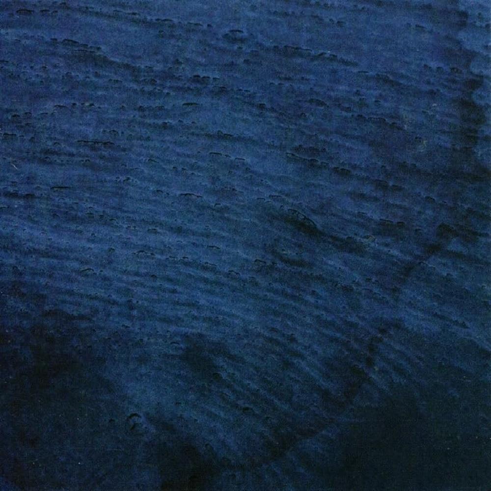 Aquatic System - Multicast Dynamics (Audio cd)