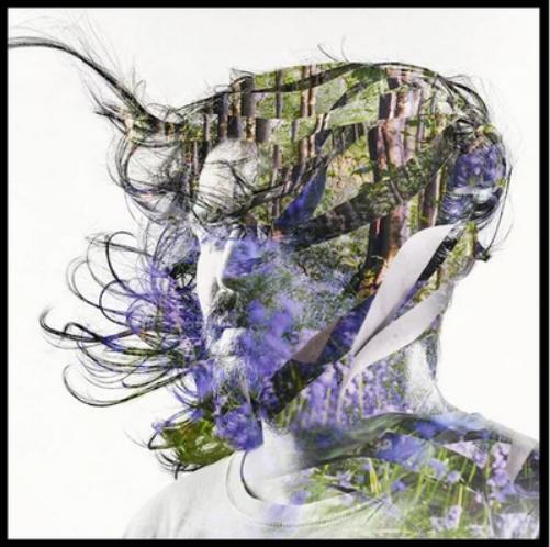 Bibio Ribbons (CD) Album