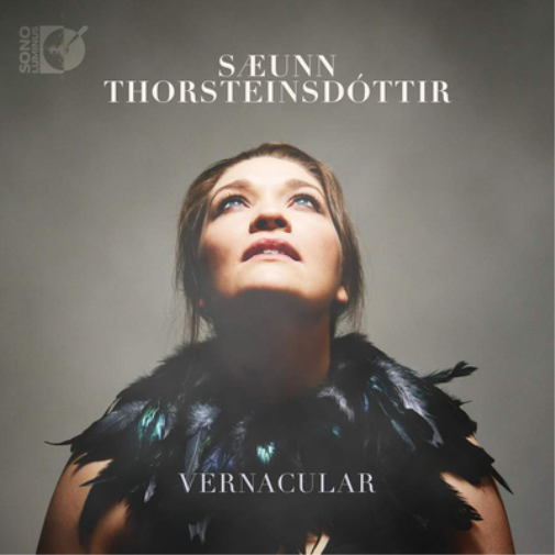 Saeunn Thorsteinsdottir Sæunn Thorsteinsdóttir: Vernacular (CD) Album