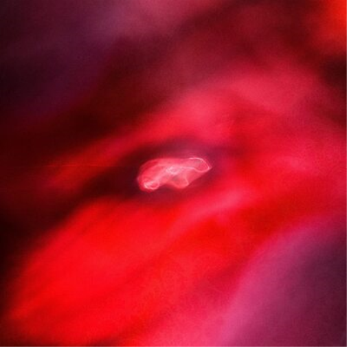 Siavash Amini & Saffronkeira The Faded Orbit (Vinyl LP) 12" Album