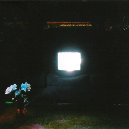 EMERALDS DOES IT LOOK LIKE I'M HERE? (Vinyl LP) 12" Album