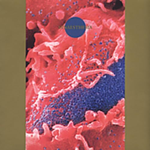Death Ambient Death Ambient (CD)