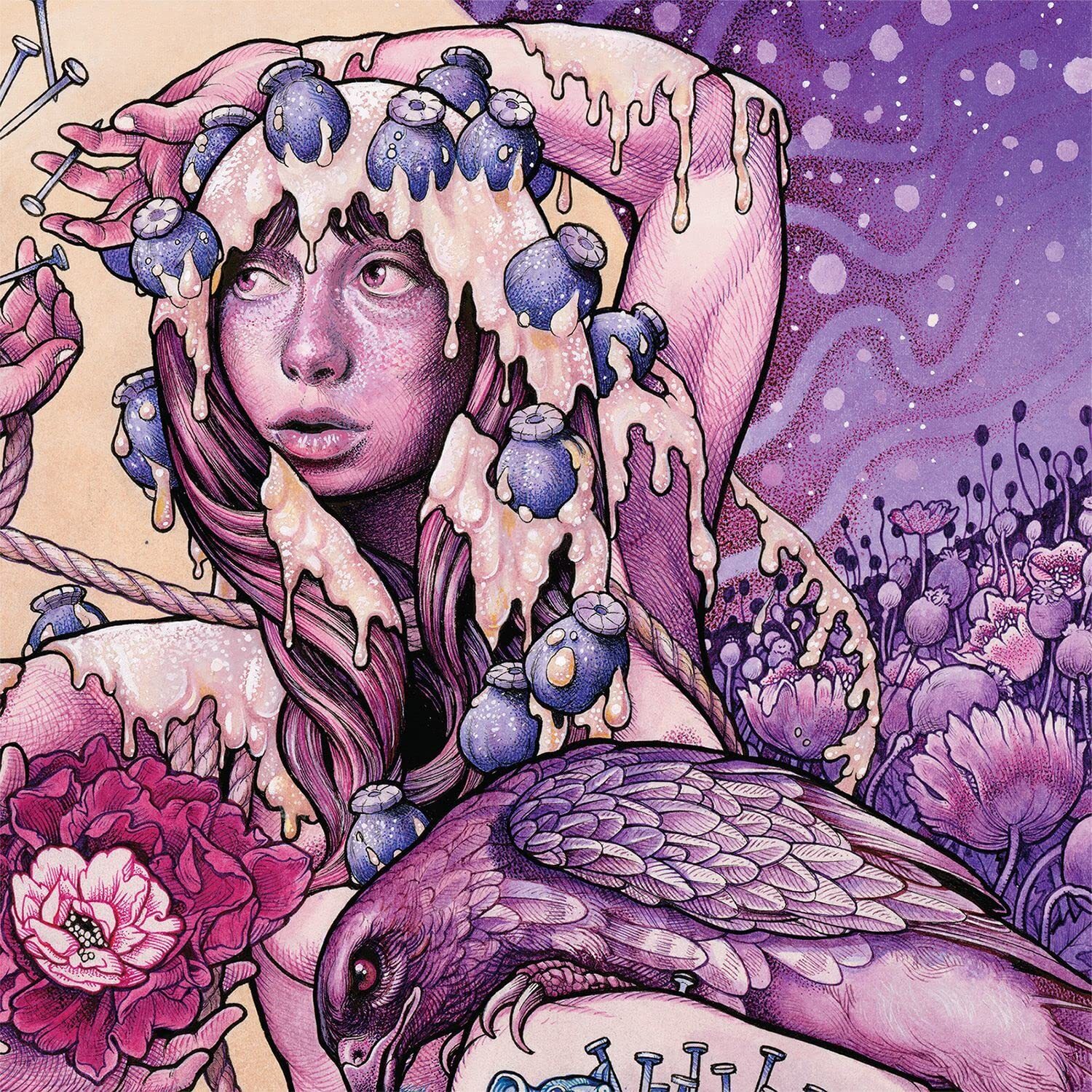 Baroness Try To Disappear (Vinyl LP)