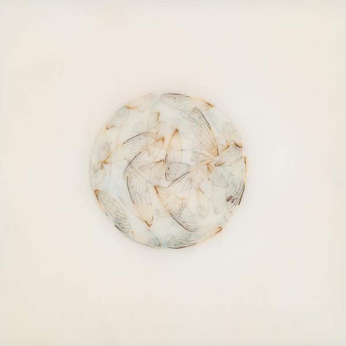 Lotte Kestner Off White CD SMR091 NEW