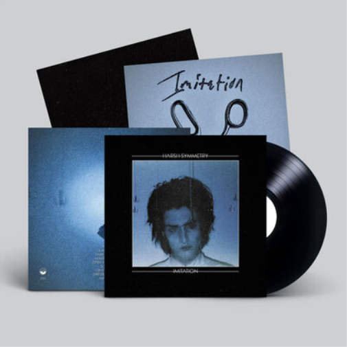 Harsh Symmetry Imitation (Vinyl LP) 12" Album