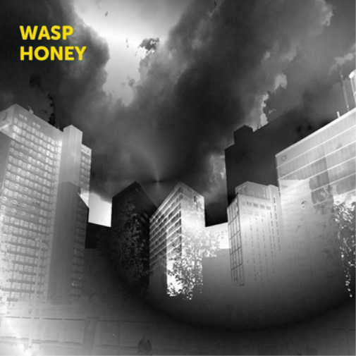 Martin Archer, John Jasnoch, Sarah Farmer & Lee Boyd Allatson Wasp Honey (CD)
