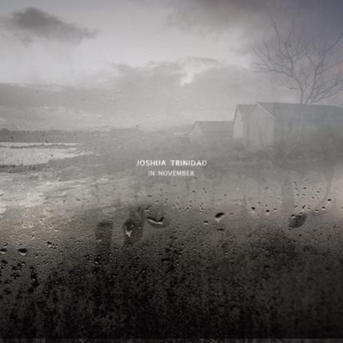 Joshua Trinidad In November (Vinyl LP) 12" Album