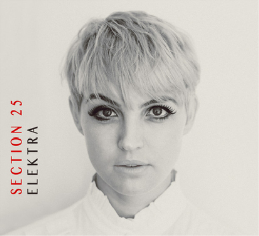 Elektra Section 25 (CD) Album
