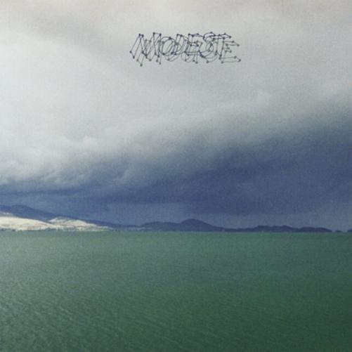 Modest Mouse The Fruit That Ate Itself (CD) Album