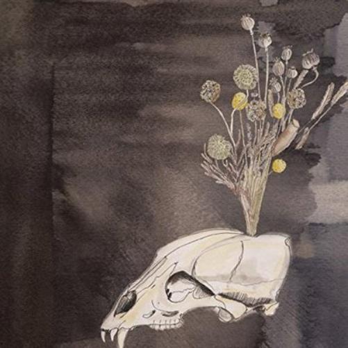 Steve Gunn and The Black Twig Pickers Seasonal Hire (CD) Album
