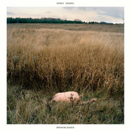 Sinai Vessel Brokenlegged (CD) Album