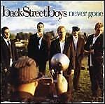Backstreet Boys - Never Gone - Cd + Dvd (+ dvd)