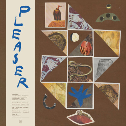 Pleaser Pleaser (Vinyl LP) 12" Album