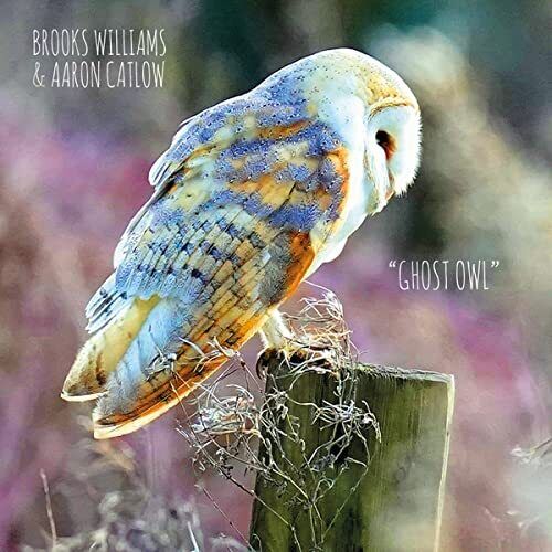 Brooks Williams and Aaron Catlow Ghost Owl CD NEW
