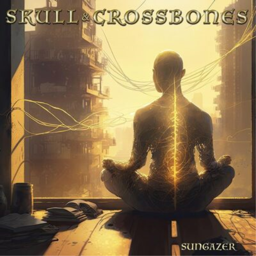 Skull & Crossbones Sungazer (Vinyl LP) 12" Album Coloured Vinyl