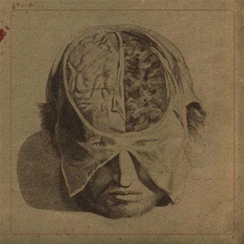 Insects - Farsot (Audio CD)