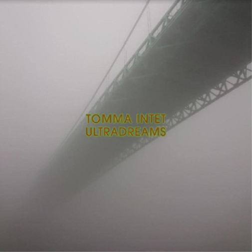 Tomma Intet ULTRADREAMS (Vinyl LP) 12" Album