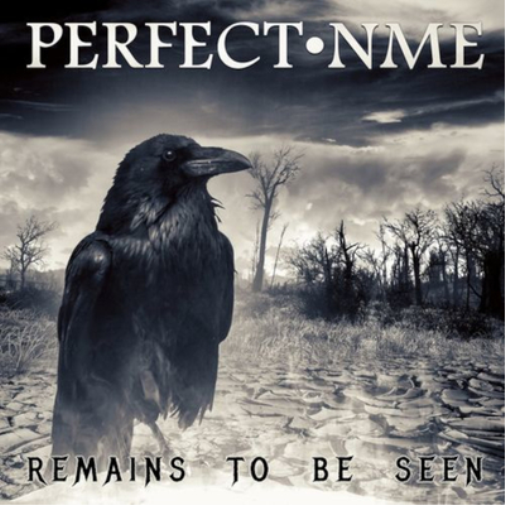 Perfect NME Remians to Be Seen (CD) Album