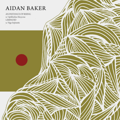 Aidan Baker Aidan Baker: An Instance of Rising/Liminoid (CD) Album