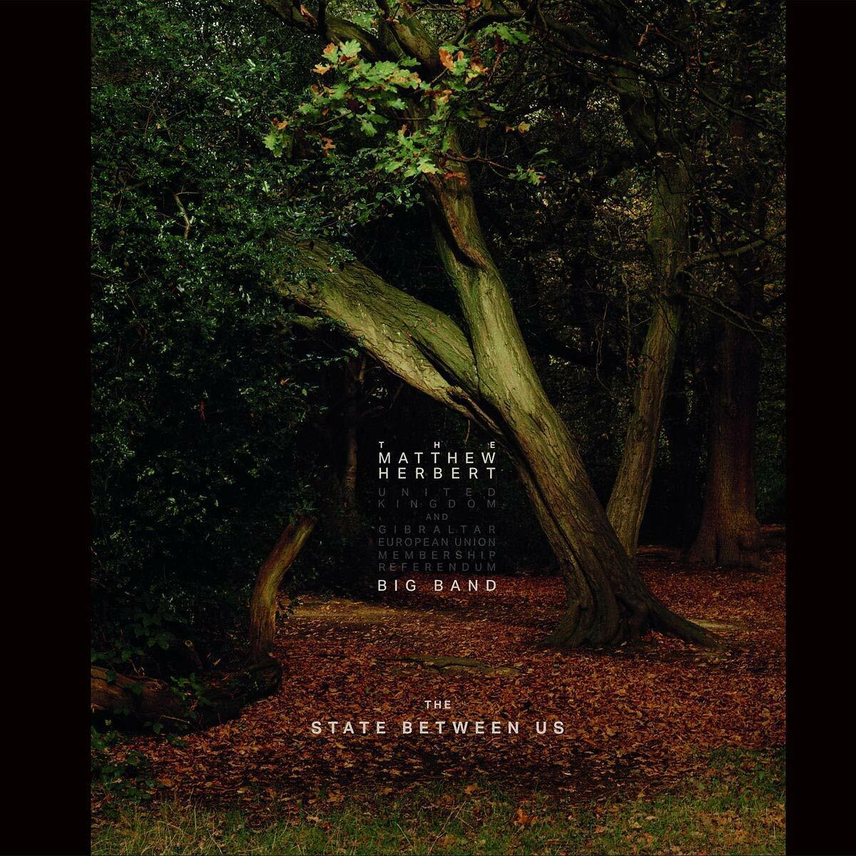 The Matthew Herbert Big Band - The State Between Us (3 LP, Album)