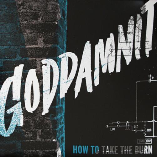 Goddamnit How to Take the Burn (Vinyl LP) 12" Album