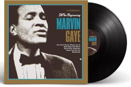 Marvin Gaye In the Beginning (Vinyl LP) 12" Album
