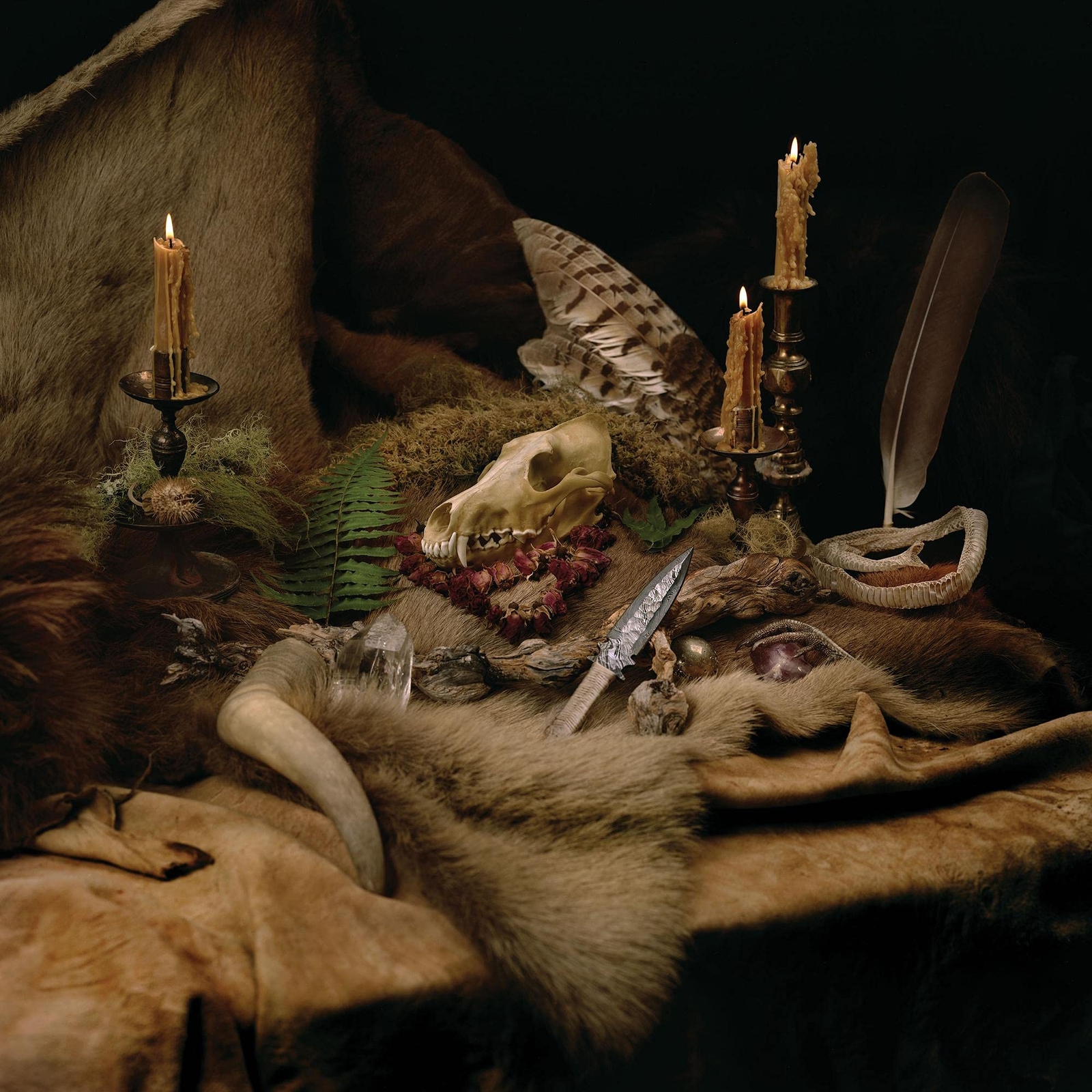 Wolves in the Throne Room Primordial Arcana (CD)