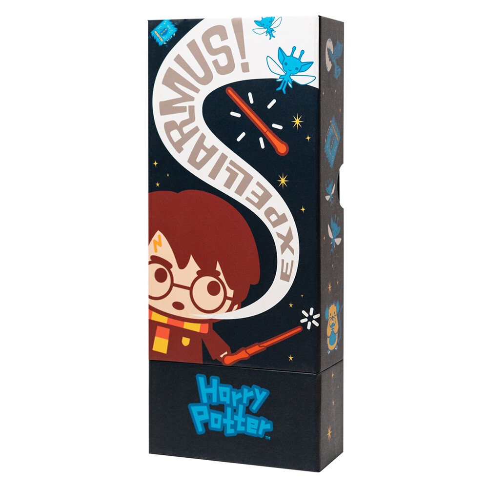 Erik Portamatite e Portacellulare Harry Potter Wizarding World Nero
