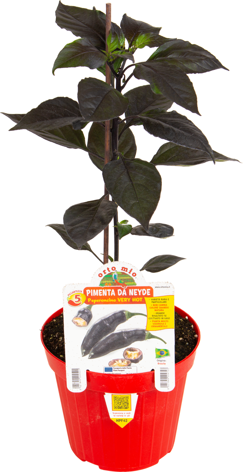 Peperoncino Very Hot Pimenta Da Neyde ORTO MIO