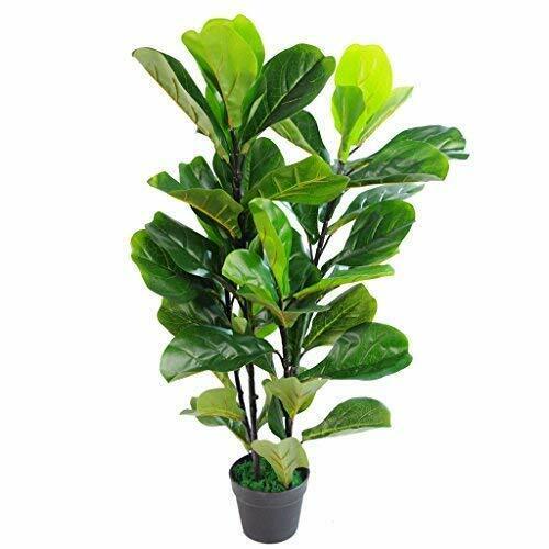 Leaf Design UK - Vaso in plastica nera, 90 cm, colore: Verde (i5L)