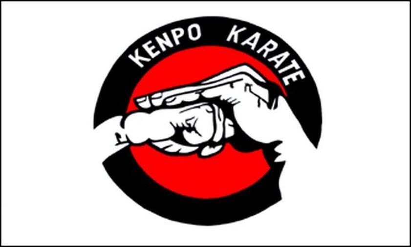 BANDIERA KENPO KARATE 150x90cm - BANDIERA DEL KARATE 90 x 150 cm - Nuova